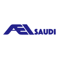 AEI Saudi