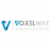 Voxelway